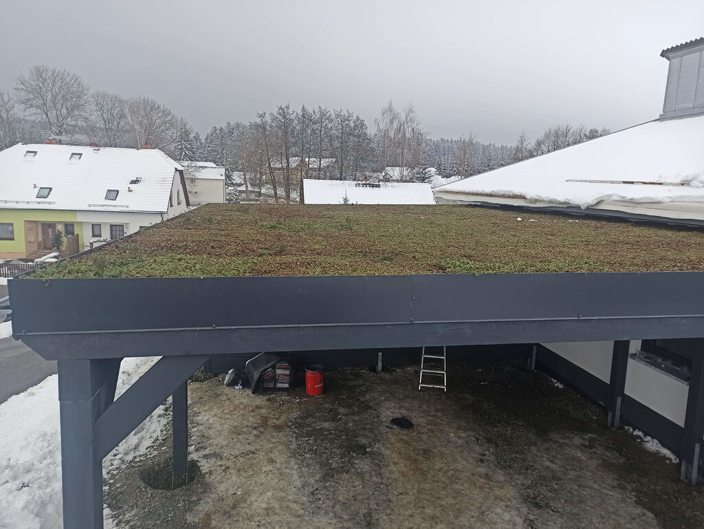 dachbegrünung carport